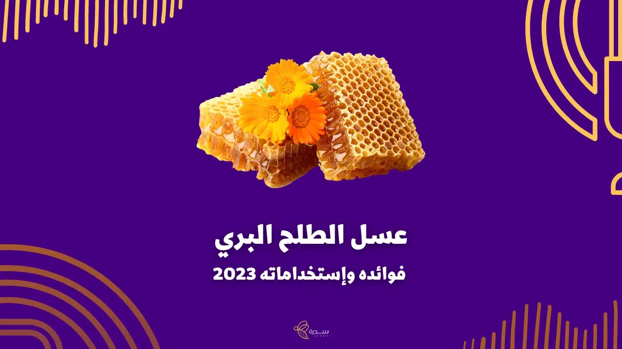 فوائد عسل الطلح البري وإستخداماته 1 عسل الطلح البري