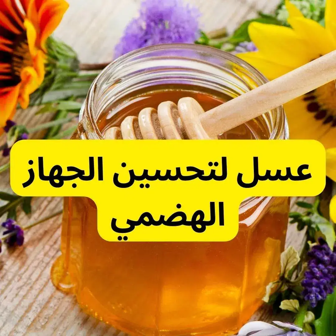 عسل لتحسين الجهاز الهضمي: افضل 5 أنواع 1 عسل لتحسين الجهاز الهضمي