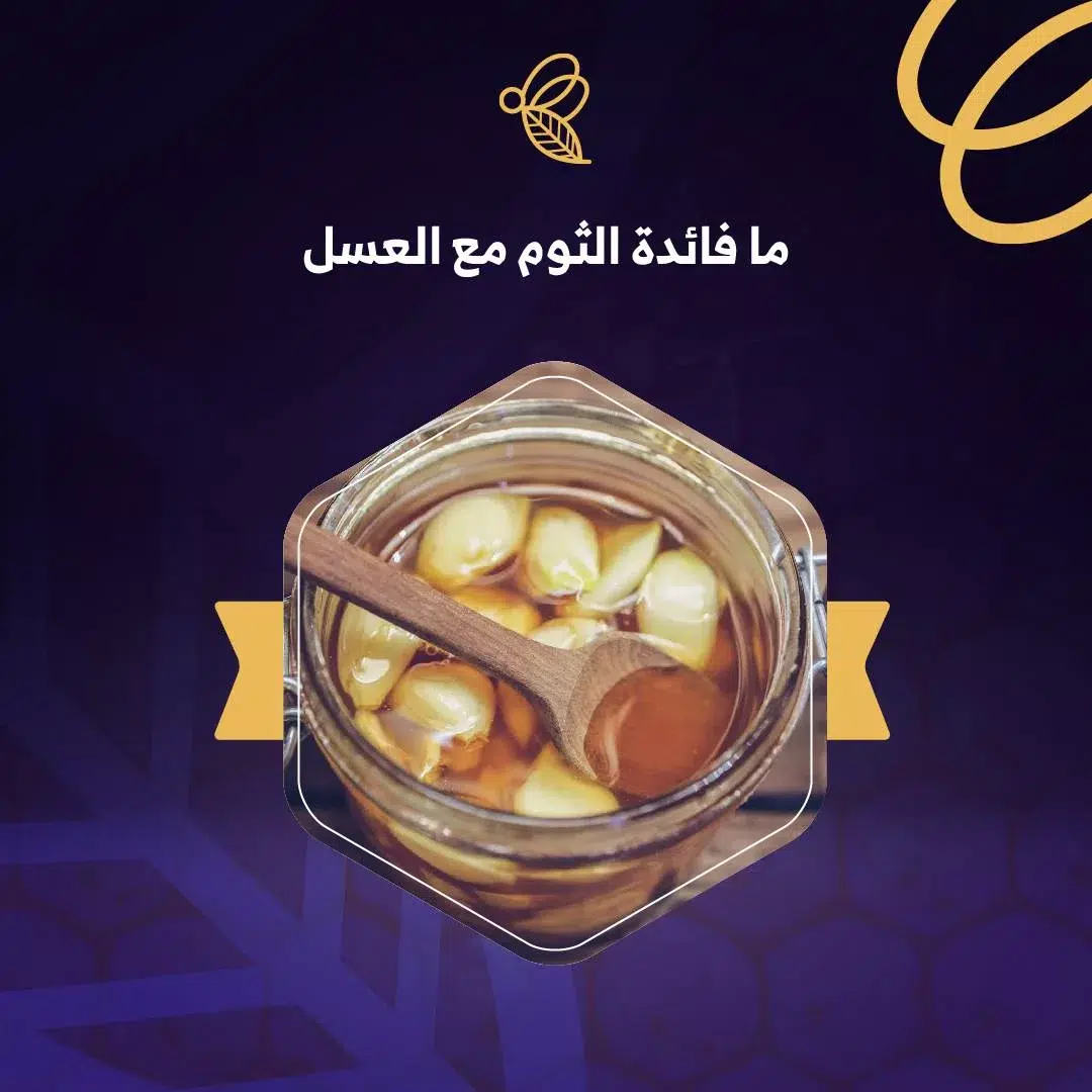 ما فائدة الثوم مع العسل، منافع لن تتخيلها! 1 ما فائدة الثوم مع العسل