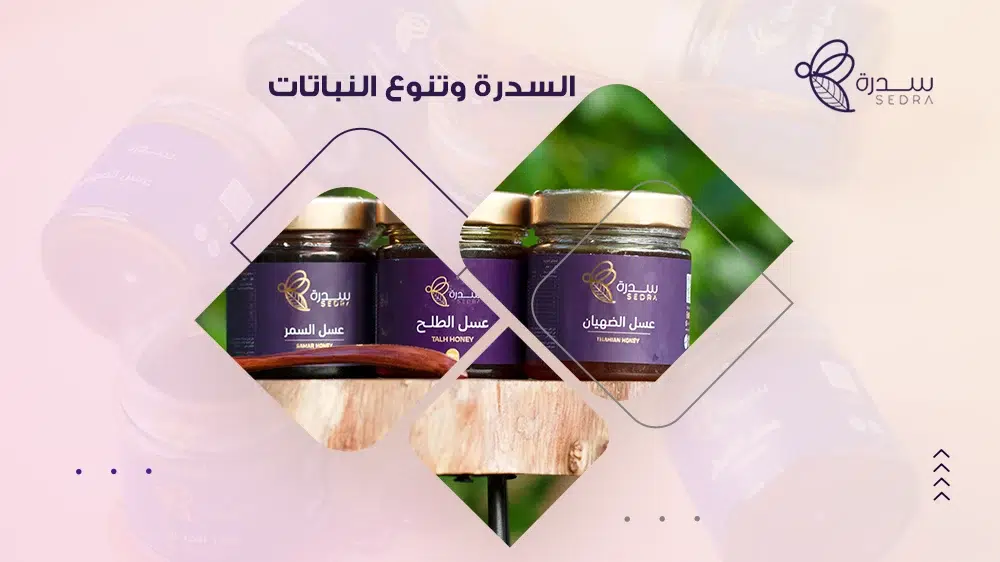 تعرف على السدرة وتنوع النباتات والأشجار في المناطق السعودية 1 السدرة وتنوع النباتات