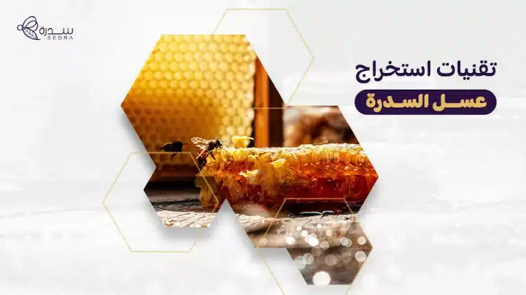 تقنيات استخراج عسل السدر: أفضل الأساليب لاستخلاص عسل السدر الطبيعي 1 تقنيات استخراج عسل السدرة