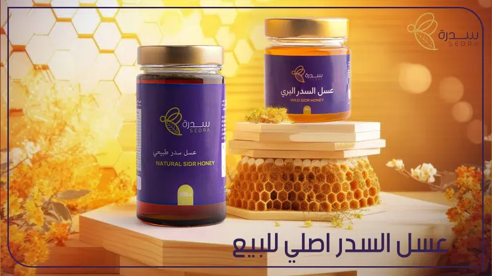 عسل السدر الأصلي للبيع في الكويت: كيفية اختيار المنتج الأفضل 1 عسل السدر أصلي للبيع