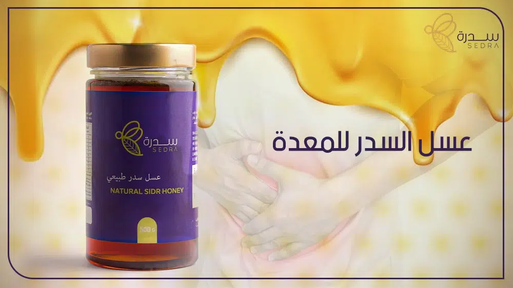 عسل السدر للمعدة : كيف يمكن أن يكون حلاً طبيعيًا لمشاكل المعدة؟ 1 عسل السدر للمعدة