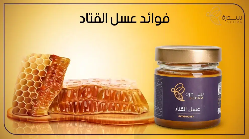 اهم فوائد عسل القتاد واهم ما يميزة فوائد صحية 1 فوائد عسل القتاد