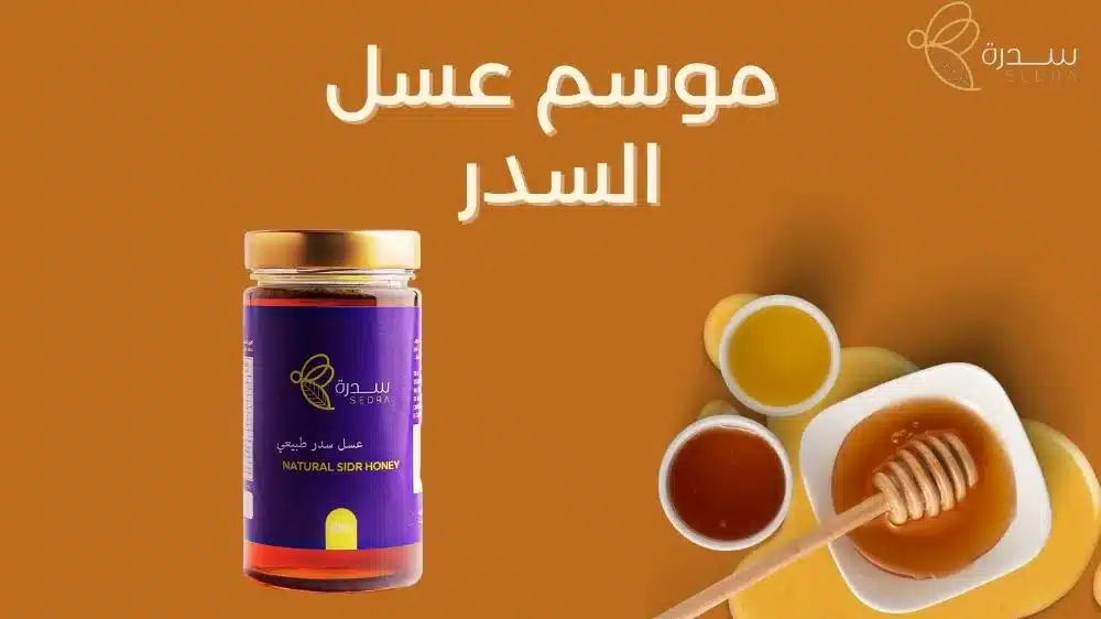 متى يبدأ موسم عسل السدر؟ 1 موسم عسل السدر