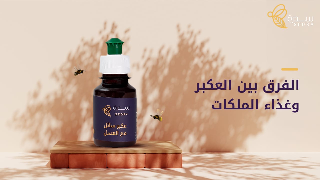 دليل من سدرة لتوضيح الفرق بين العكبر وغذاء الملكات 1 "الفرق بين العكبر وغذاء الملكات "