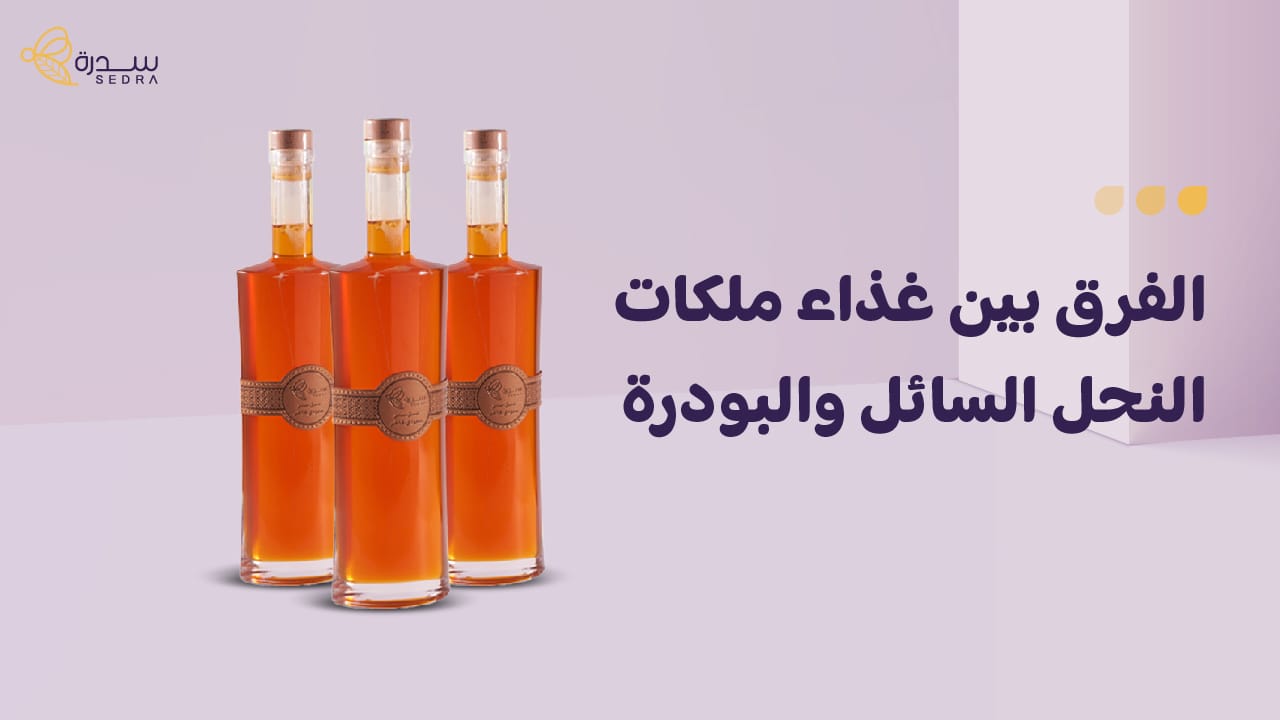 الفرق بين غذاء ملكات النحل السائل والبودره-دليل عملي من سدرة 1 الفرق بين غذاء ملكات النحل السائل والبودره