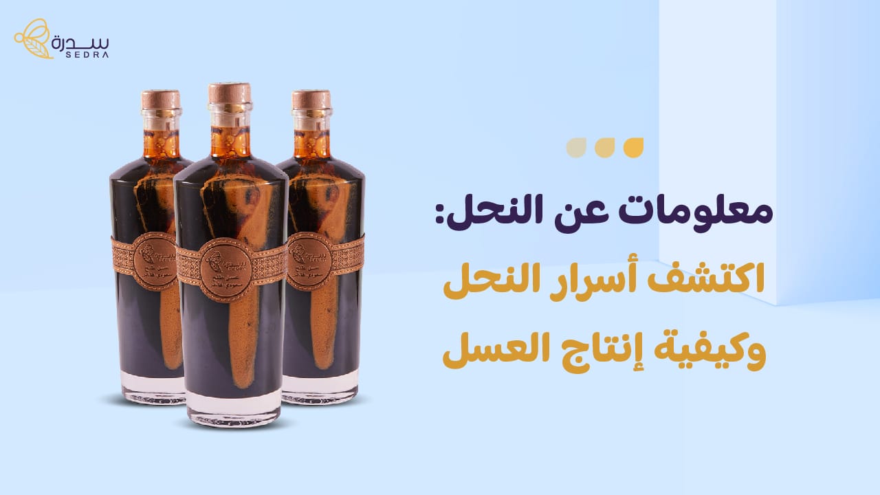 معلومات عن النحل: اكتشف أسرار النحل وكيفية إنتاج العسل 1 معلومات عن النحل