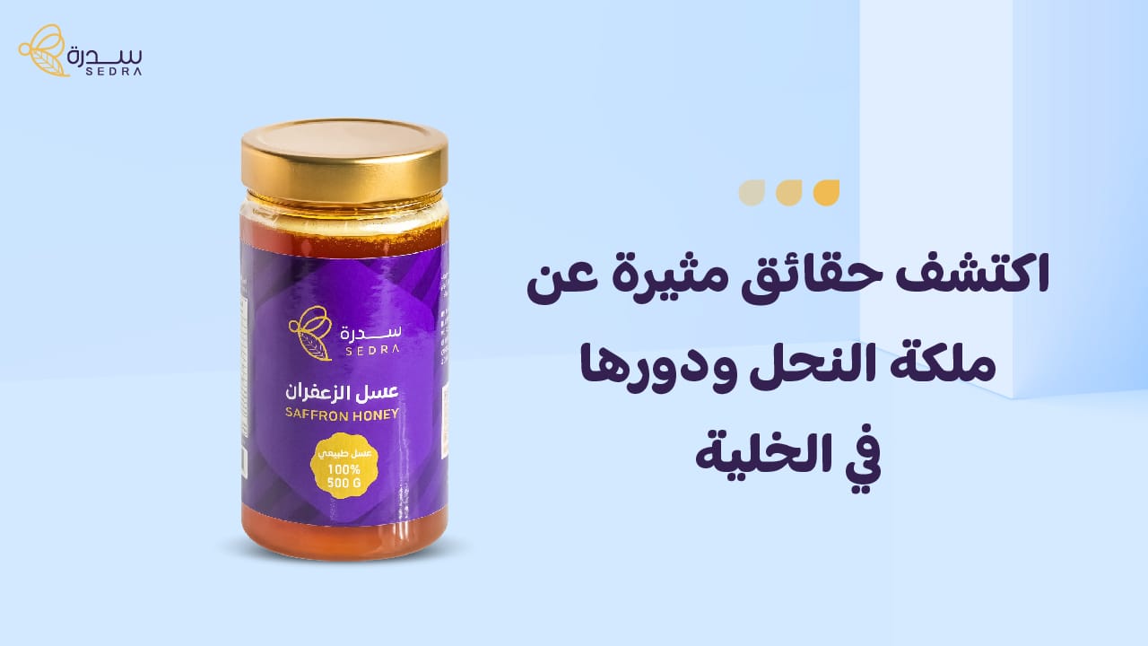 اكتشف حقائق مثيرة عن ملكة النحل ودورها في الخلية 1 اكتشف حقائق مثيرة عن ملكة النحل ودورها في الخلية